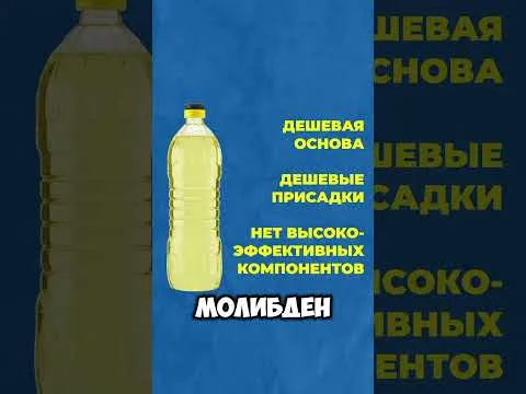 Как не убить двигатель: правила выбора масла для мототехники от X-MOTORS!