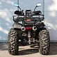 Квадроцикл Grizzly 250
